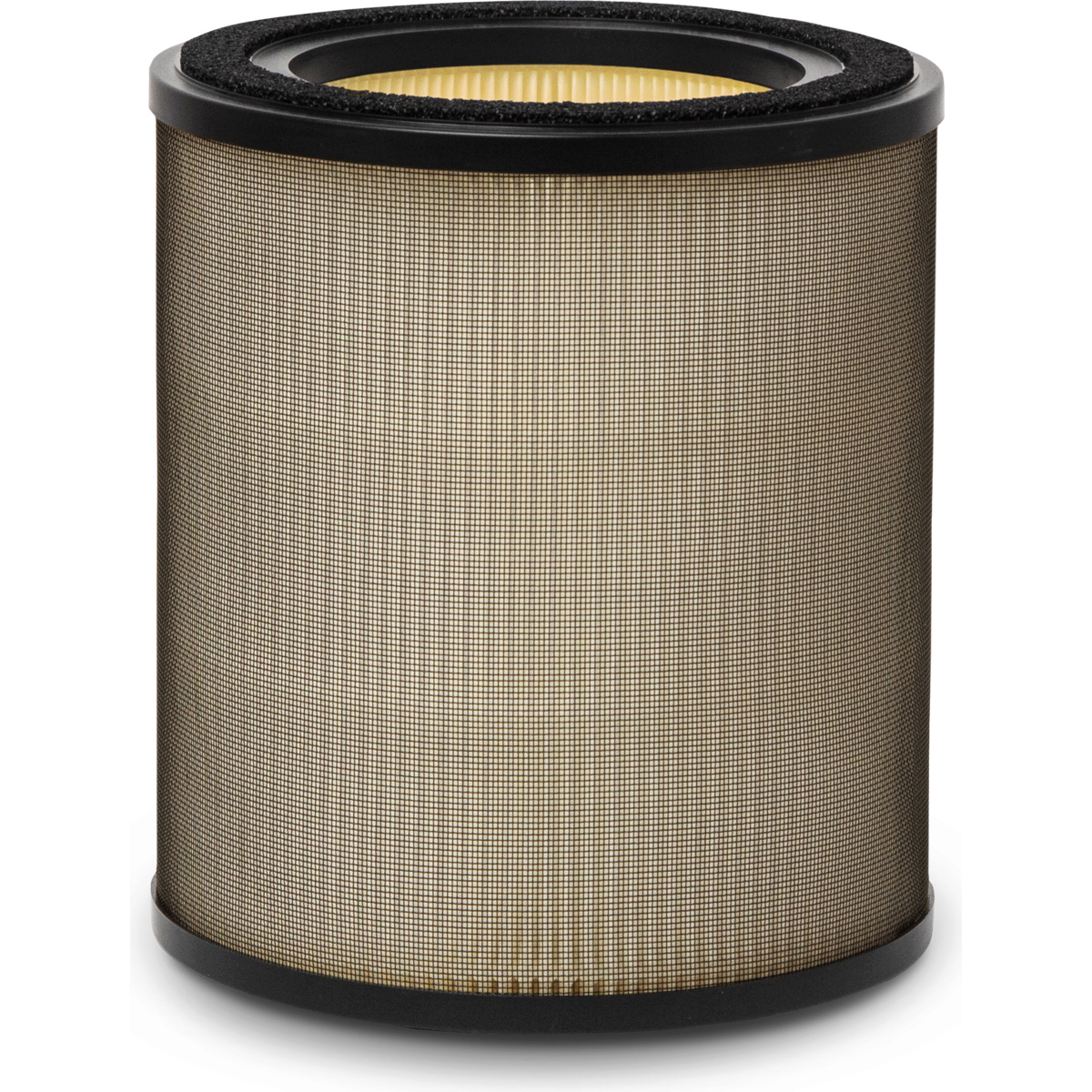 Фильтр для очистителя воздуха ELECTROLUX EFFBTH4 Pollen Protect (900923830)