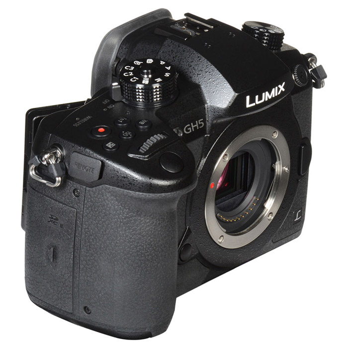 Фотоаппарат PANASONIC Lumix DC-GH5 Body (DC-GH5EE-K)