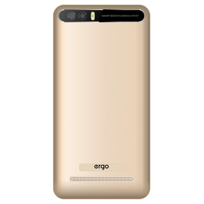 Смартфон ERGO B501 Maximum Gold