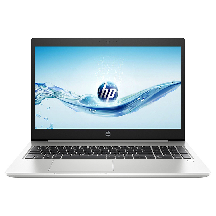 Ноутбук HP ProBook 450 G6 Silver (4SZ45AV_V1)