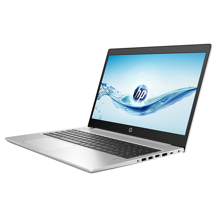 Ноутбук HP ProBook 450 G6 Silver (4SZ45AV_V1)