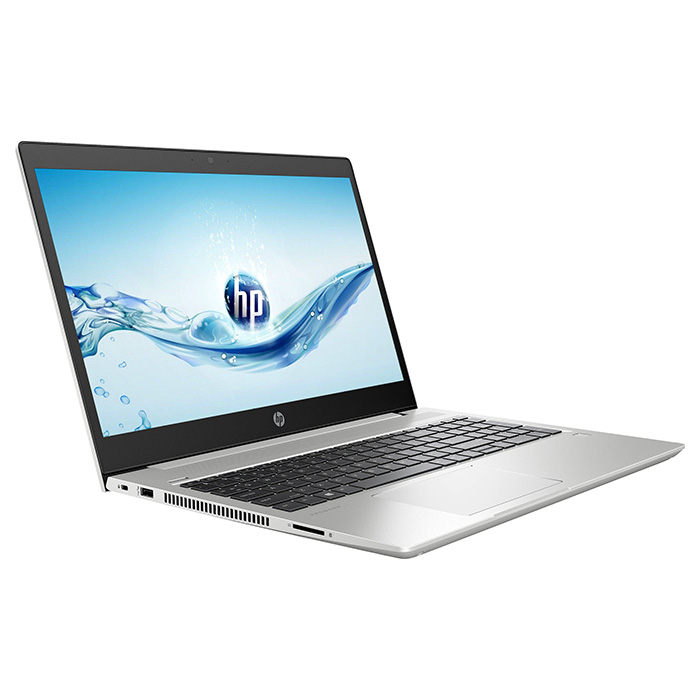 Ноутбук HP ProBook 450 G6 Silver (5PQ05EA)