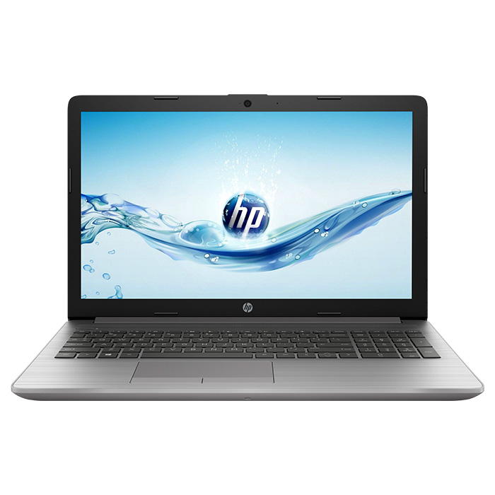 Ноутбук HP 255 G7 Asteroid Silver (9VY49ES)