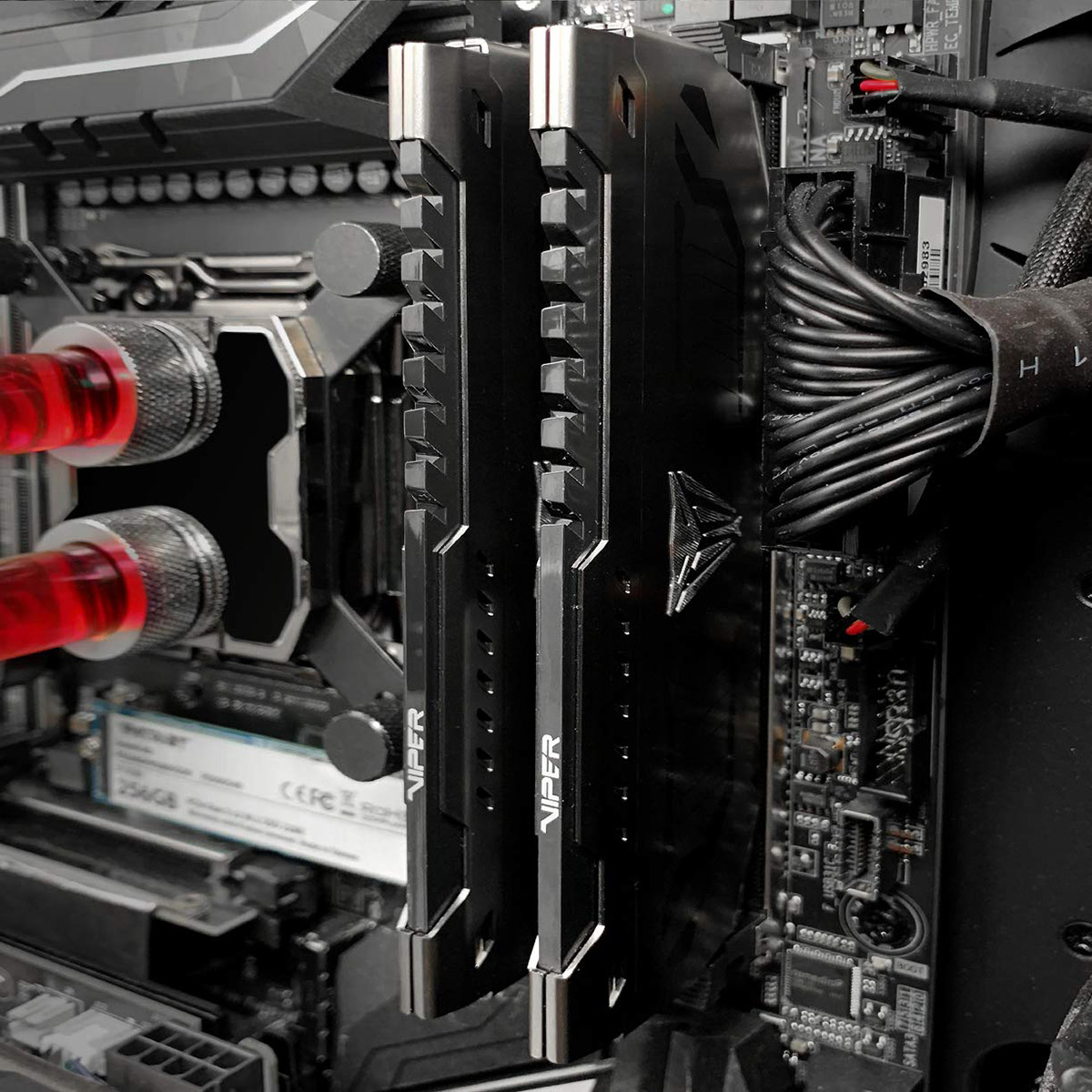 Модуль пам'яті PATRIOT Viper Steel DDR4 3200MHz 64GB Kit 2x32GB (PVS464G320C6K)