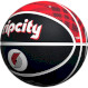 М\'яч баскетбольний WILSON NBA Team City Edition Portland Trail Blazers Size 7 (WZ4003925XB7)
