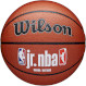 М\'яч баскетбольний WILSON Jr. NBA Family Indoor/Outdoor Size 7 (WZ2009801XB7)