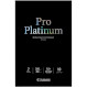 Фотобумага CANON Pro Platinum PT-101 A3+ 300г/м² 10л (2768B018)