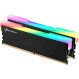 Модуль пам\'яті EXCELERAM RGB X2 Black DDR4 3600MHz 16GB Kit 2x8GB (ERX2B416369AD)