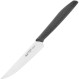 Ніж кухонний для стейку DUE CIGNI 1896 Steak Knife 105мм (2C 1003 PP)