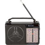 Радиоприёмник GOLON RX-607 Black