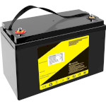 Аккумуляторная батарея LIITOKALA LiFePO4 12V 100Ah (12В, 100Ач, BMS) (LII-LIFEPO4120-100-BMS)