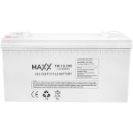 Аккумуляторная батарея MAXX FM-12-200 (12В, 200Ач)