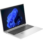 Ноутбук HP EliteBook 865 G10 Silver (818P0EA)