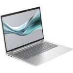 Ноутбук HP EliteBook 645 G11 Silver (8Z3N0AV_V1)