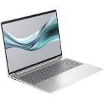 Ноутбук HP EliteBook 665 G11 Silver (8Z719AV_V4)