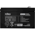 Аккумуляторная батарея NJOY GP09122F (12В, 9Ач) (BTVACIUOCTO2FCW01B)