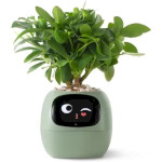 Розумний горщик для рослин IVY Smart Planter Tuya AI Green