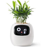 Розумний горщик для рослин IVY Smart Planter Tuya AI White