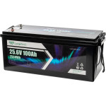 Акумуляторна батарея LONGTTECH LiFePO4 LAR24100-LT160-P (25.6В, 100Агод)