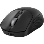 Миша HP 700 Rechargeable (AZ7B0AA)