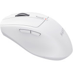 Миша HAVIT HV-MS61WB White