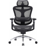 Крісло офісне SIHOO Doro C300 Pro Mesh Black