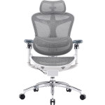 Крісло офісне SIHOO Doro C300 Pro Mesh White