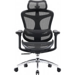 Крісло офісне SIHOO Doro C300L Mesh Black
