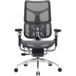Крісло офісне SIHOO Doro S300 Mesh Dark Gray