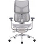 Крісло офісне SIHOO Doro S300 Mesh Light Gray