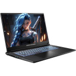 Ноутбук DREAM MACHINES RG5050-17 Black (RG5050-17UA28)