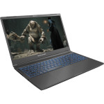 Ноутбук DREAM MACHINES RG3050-15 Black (RG3050-15UA77)