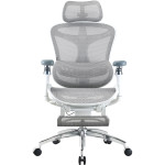Крісло офісне SIHOO Doro C300 Pro with footrest Mesh White
