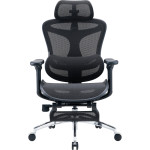 Крісло офісне SIHOO Doro C300L with footrest Mesh Black