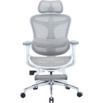 Крісло офісне SIHOO Doro C300L with footrest Mesh White