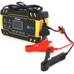 Зарядний пристрій для АКБ VOLTRONIC GEL/AGM/SLA 12V/24V, 8A