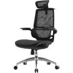 Крісло офісне SIHOO M59AS Mesh Black