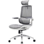 Крісло офісне SIHOO M59AS Mesh Gray