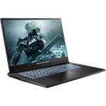 Ноутбук DREAM MACHINES RT5050-17 Black (RT5050-17UA24)