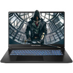 Ноутбук DREAM MACHINES RT5050-17 Black (RT5050-17UA27)
