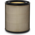 Фільтр для очищувача повітря ELECTROLUX EFFBTH4 Pollen Protect (900923830)