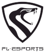 FL ESPORTS