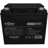 Аккумуляторная батарея NJOY GE4012FF (12В, 40Ач) (BTVGCDTOMTCFFCN01B)