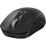 Мышь HP 700 Rechargeable (AZ7B0AA)