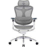 Кресло офисное SIHOO Doro C300 Pro Mesh White