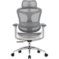 Кресло офисное SIHOO Doro C300L Mesh White