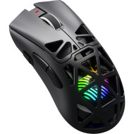 Мышь игровая GAMEPRO Genesis Spider GM870B