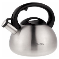 Чайник TEFAL Coffee Pot 2.5л (C7921024)