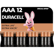 Батарейка DURACELL Basic AAA 12шт/уп (81545432)