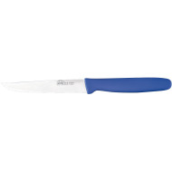 Кухонный нож для стейка DUE CIGNI Steak Knife Combo Blue 110мм (2C 713/11 DB)
